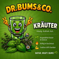 Kräuter Bums